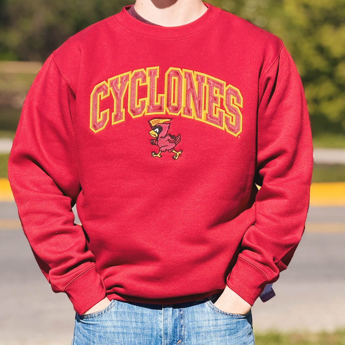 CI Sport Pennant Cy Cardinal HW Crewneck Sweatshirt design close up